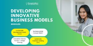 Developing Innovative Business Models